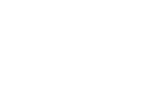 Dream Aerospace